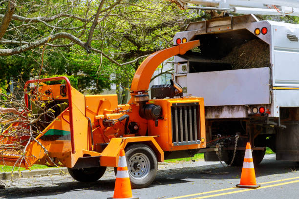 Best Seasonal Cleanup (Spring/Fall)  in St Paul, NE